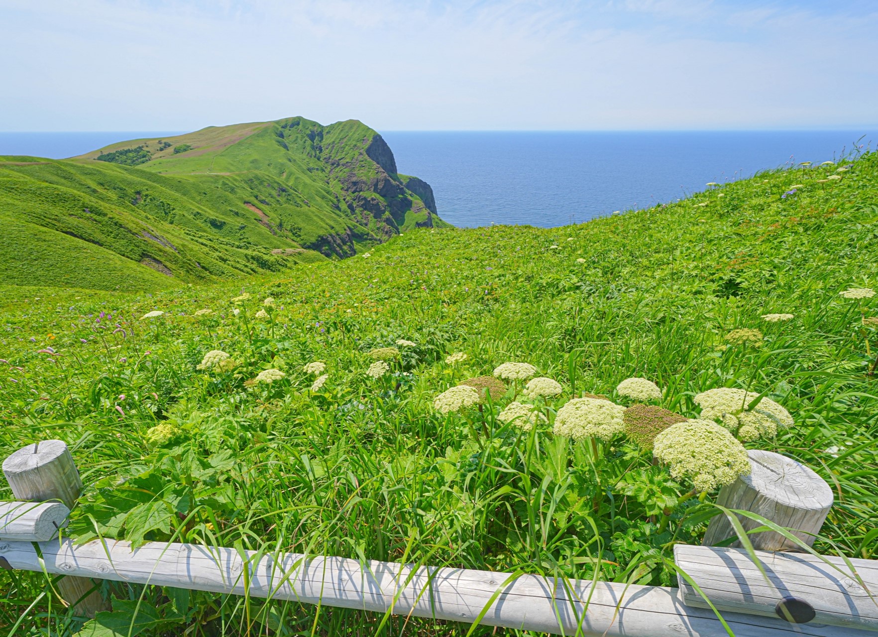 桃岩展望台の風景写真
